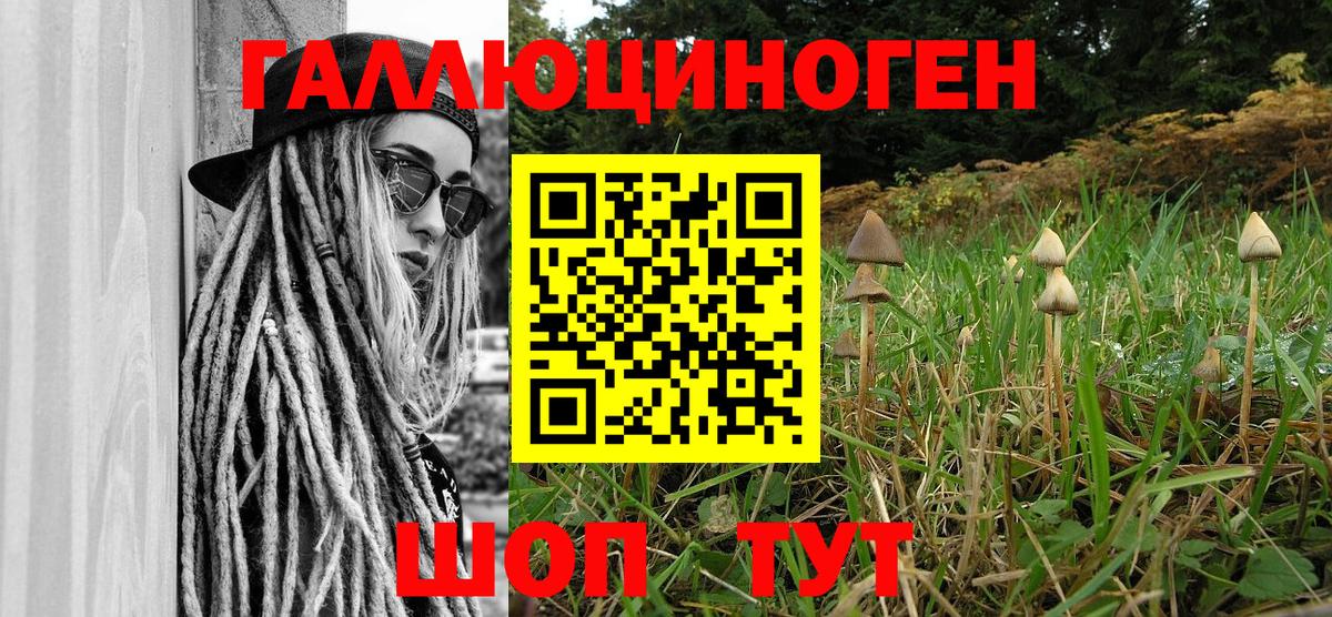 Галлюциногенные грибы прущие грибы Можга
